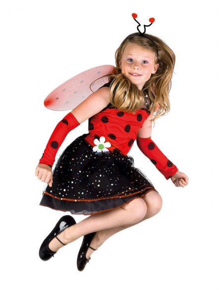 Disfraz mariquita 