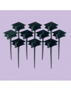 Pinchos pick para graduación