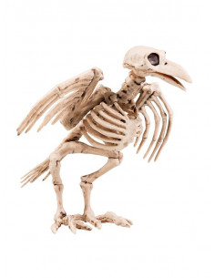 Esqueleto de cuervo decorativo