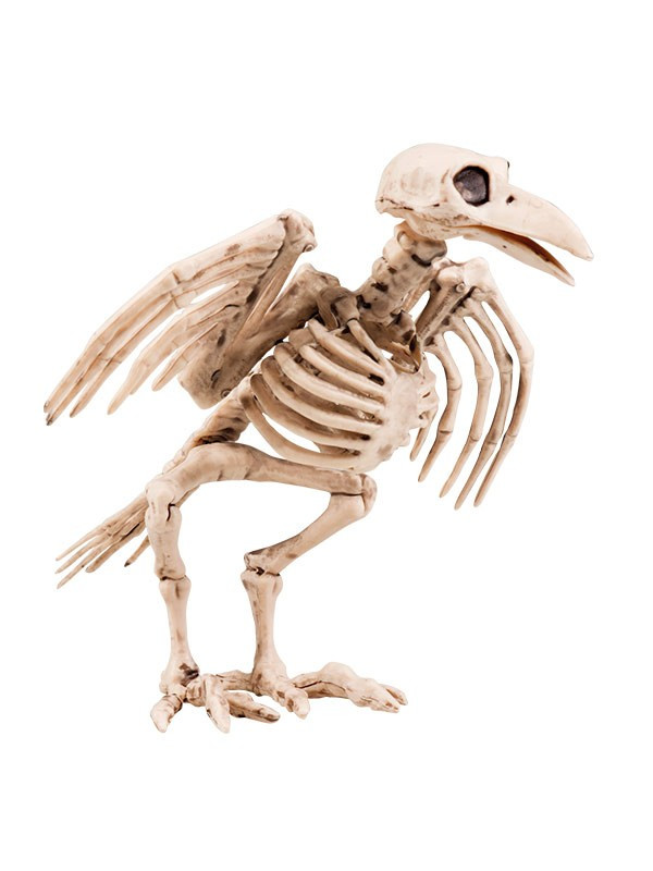 Esqueleto de cuervo decorativo