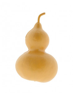 Calabaza de Peregrino