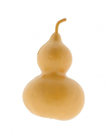 Calabaza de Peregrino