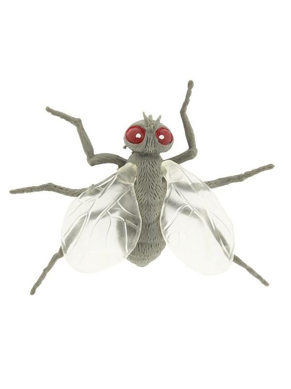 Insectos de goma mosca