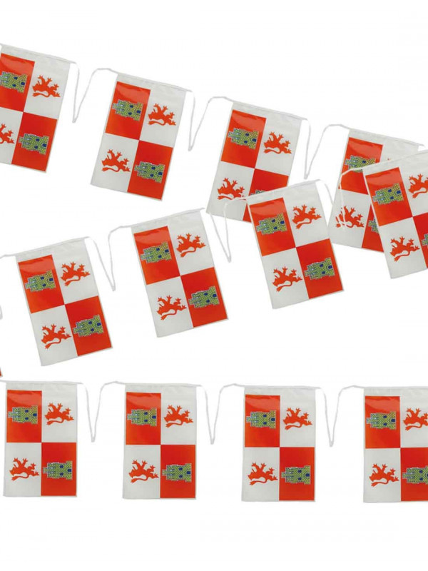 Bandera plástico de Castilla y León