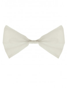 Pajarita de raso colores verde 2