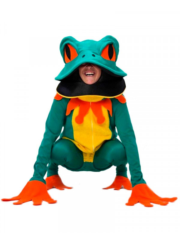 Disfraz de rana