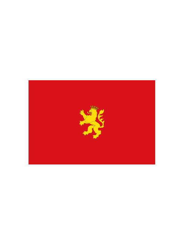 Bandera Zaragoza