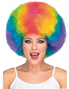 Peluca multicolor afro Unisex