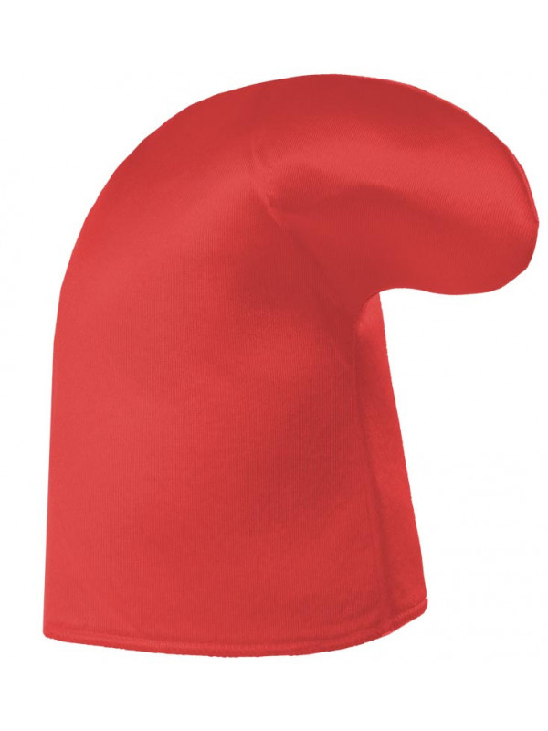 Gorro de enano del bosque