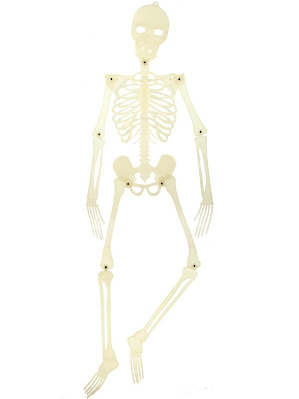 Esqueleto que brilla 150cm