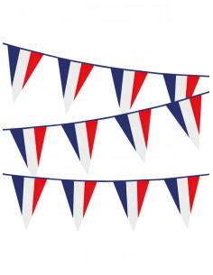 Banderines Francia