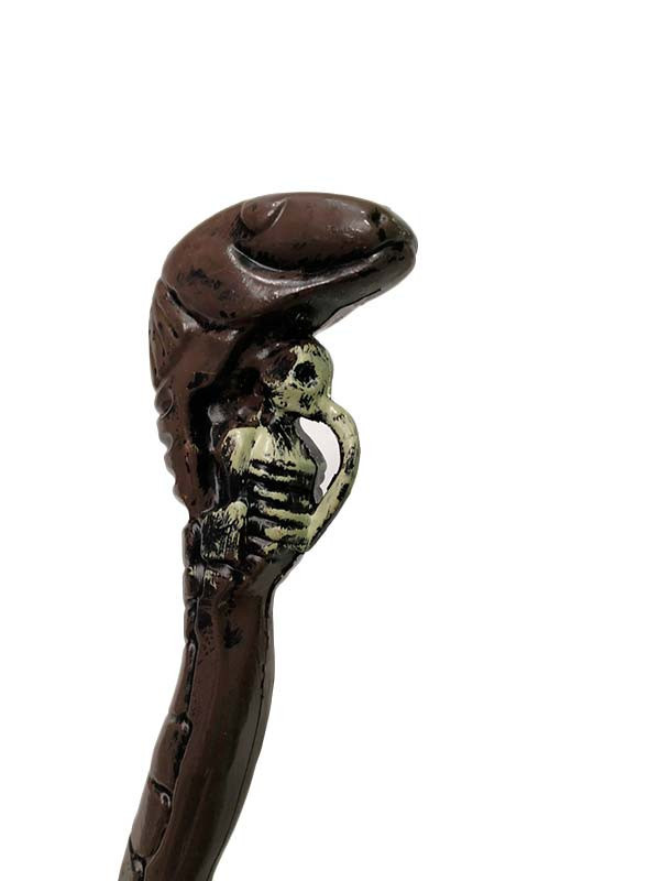 Cetro hechicero Amazonas detalles