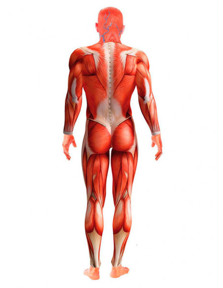 Disfraz Anatomía adulto espalda