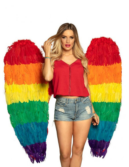 Alas multicolor gigantes