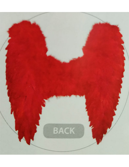 Alas multicolor gigantes espalda