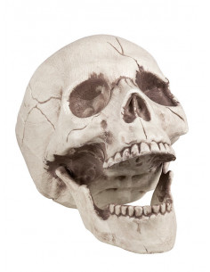 Calavera para decoración 2