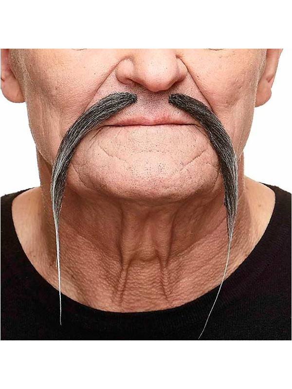 Bigote chino mandarín gris