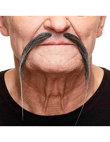 Bigote chino mandarín gris