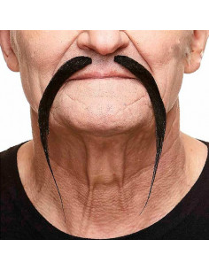 Bigote chino mandarín gris 2