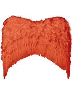 Alas de plumas grandes 2