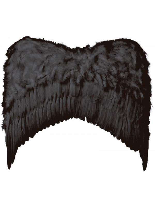Alas de plumas grandes negras