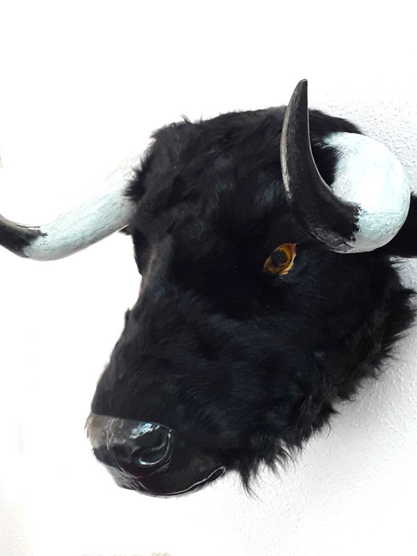 Cabeza de toro grande