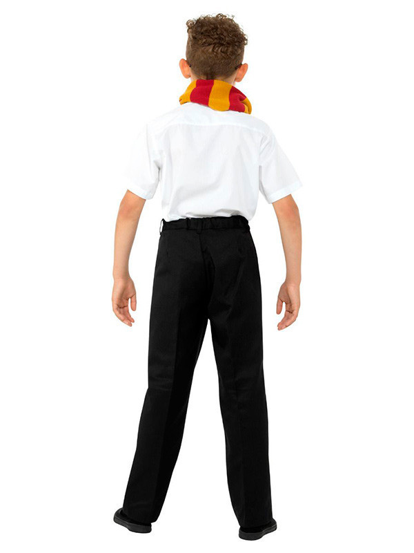 Set Mago Harry espalda