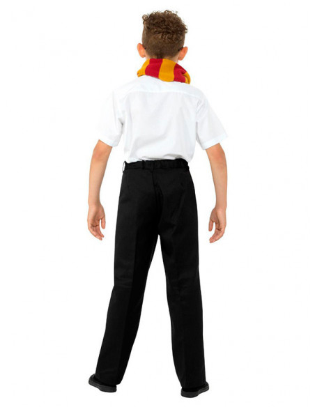 Set Mago Harry espalda