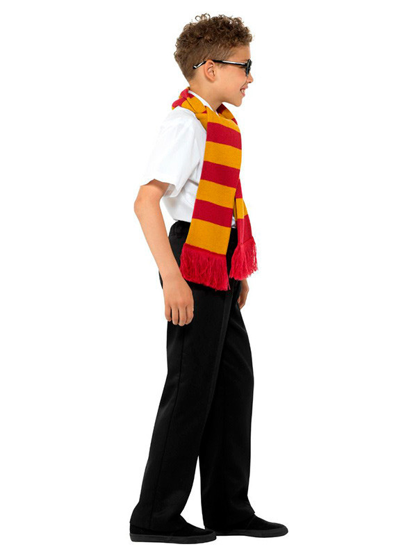 Set Mago Harry perfil