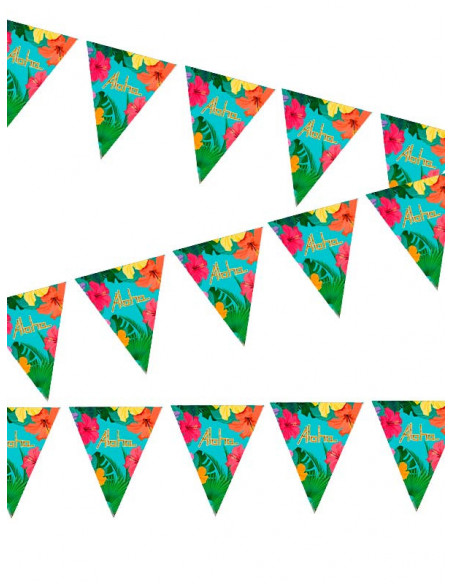 Banderines hawaianos Aloha