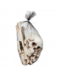 Set de huesos pequeños 2