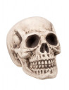 Calavera decorativa grande