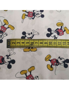 Tela de Mickey Mouse 2