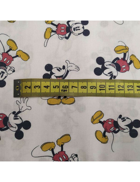Tela de Mickey Mouse medida