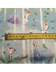 Tela de Elsa Frozen 2