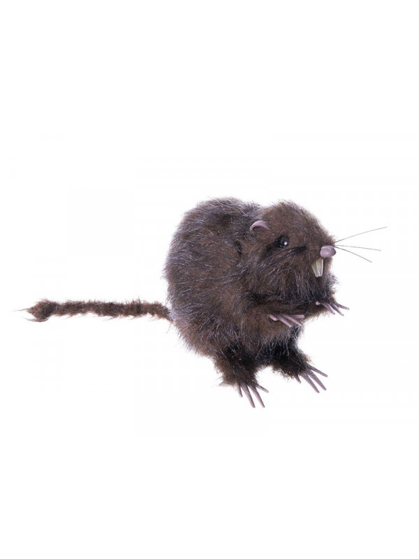 Rata peluda decorativa