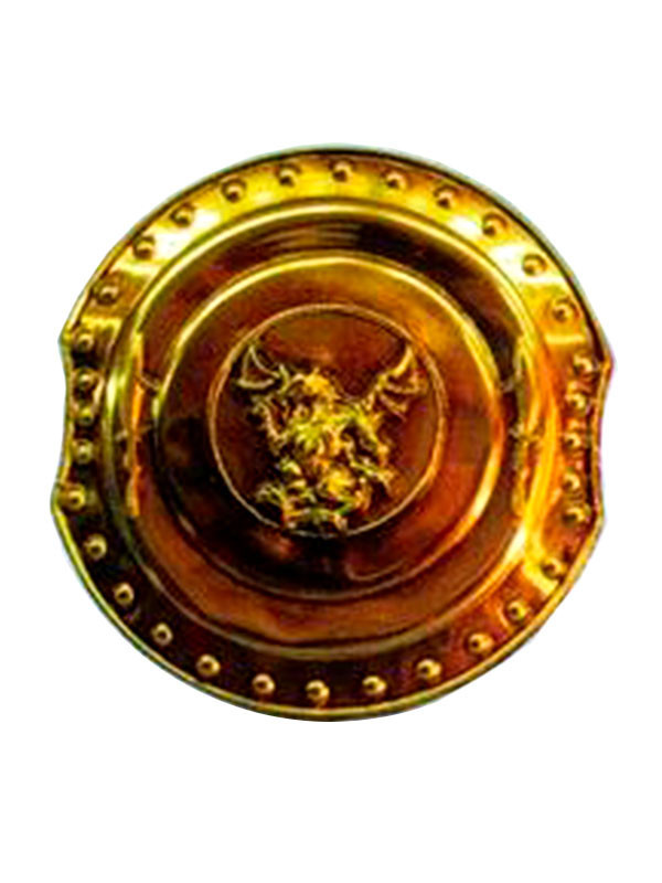 Escudos de guerreros redondos dragón