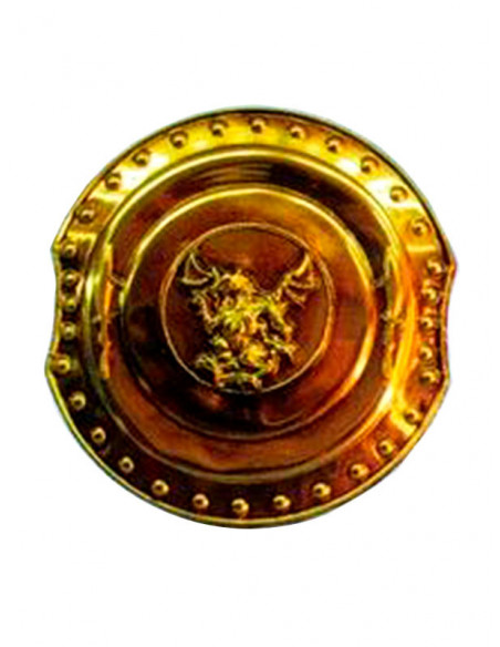 Escudos de guerreros redondos dragón