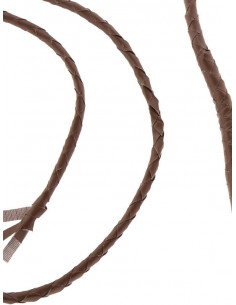Látigo marrón 2