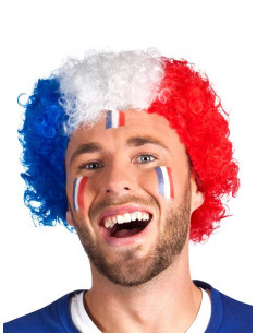 Peluca Francia afro
