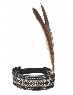 Penacho de india cherokee 2