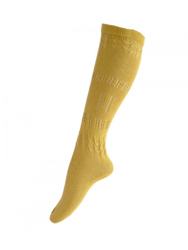 Media corta regional colores oro