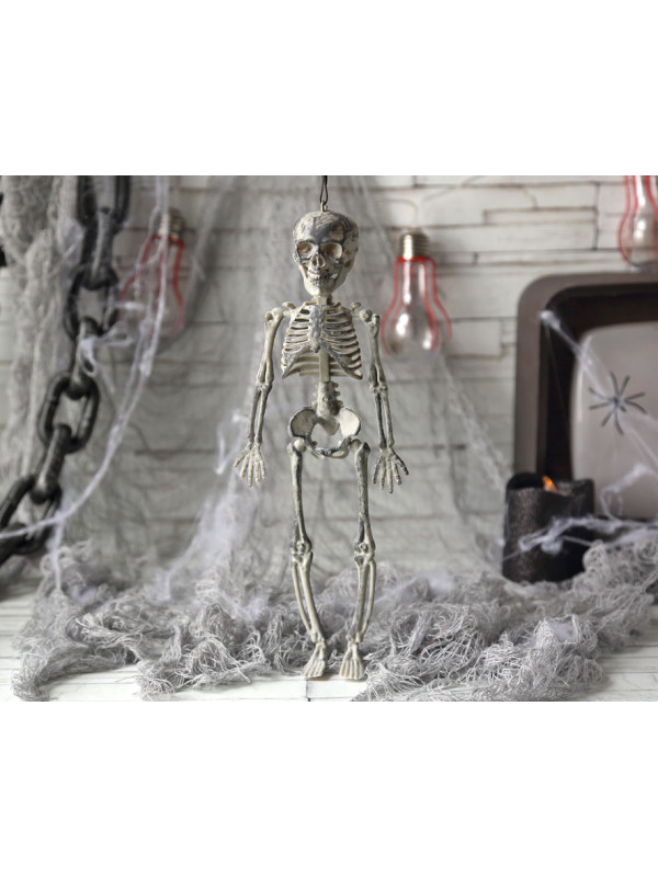 Esqueleto colgante pequeño ambiente