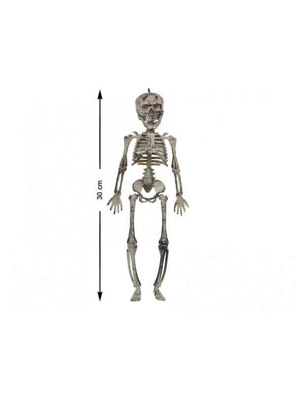 Esqueleto colgante pequeño medidas