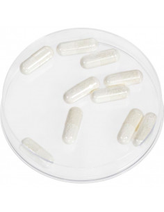 Cápsulas de espuma 2