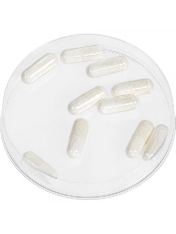 Cápsulas de espuma interior