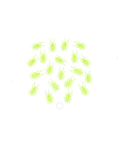 Cucarachas fluorescentes