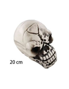 Calavera Halloween étnica