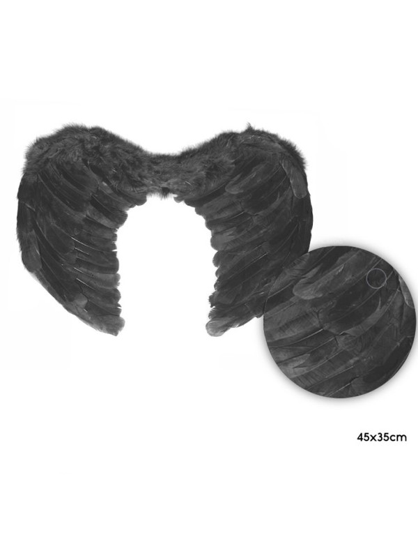 Alas de plumas de color negro